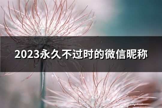 2023永久不过时的微信昵称(共700个)