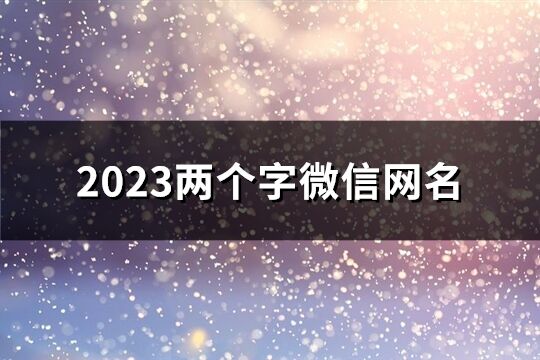 2023两个字微信网名(优选1252个)