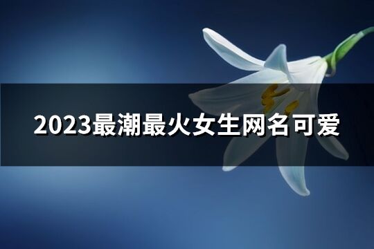 2023最潮最火女生网名可爱(364个)