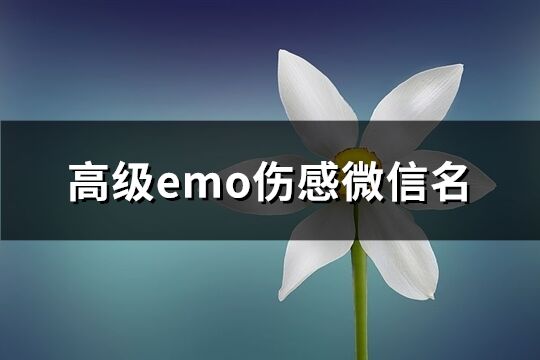 高级emo伤感微信名(优选234个)