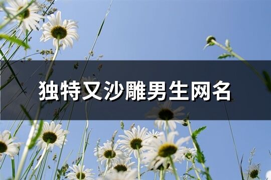 独特又沙雕男生网名(共440个)