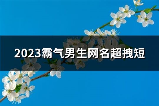 2023霸气男生网名超拽短(1059个)