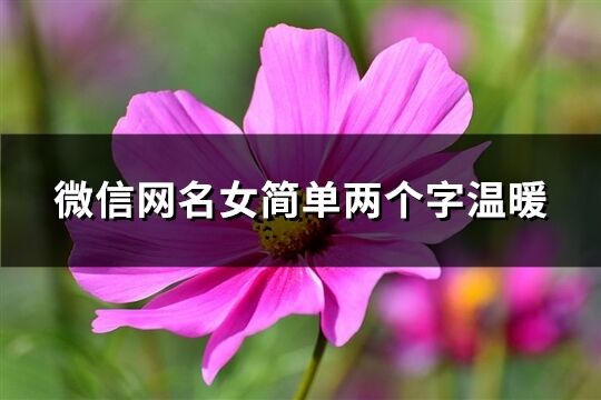 微信网名女简单两个字温暖(53个)