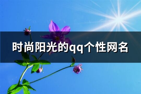 时尚阳光的qq个性网名(291个)