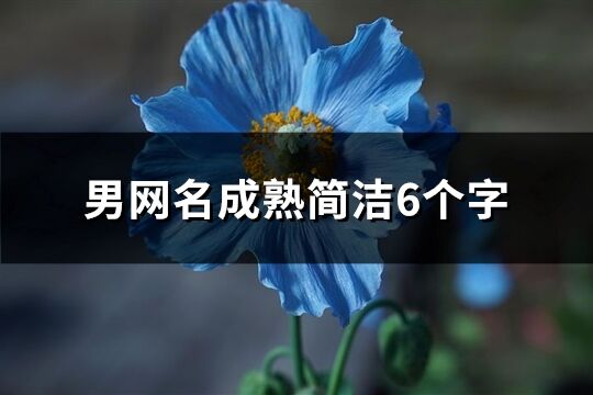 男网名成熟简洁6个字(优选146个)