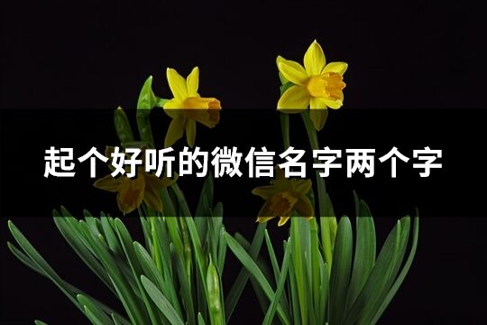 起个好听的微信名字两个字(共1339个)