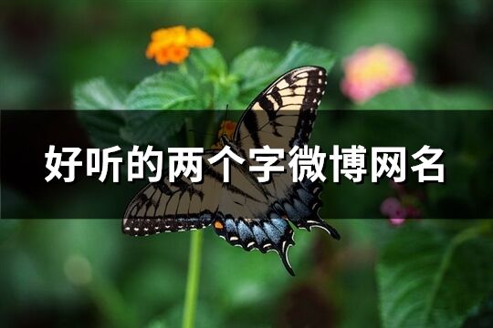 好听的两个字微博网名(821个)