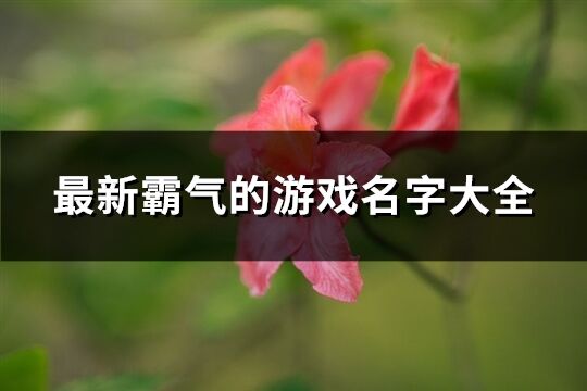 最新霸气的游戏名字大全(优选1093个)