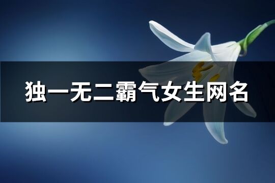 独一无二霸气女生网名(320个)