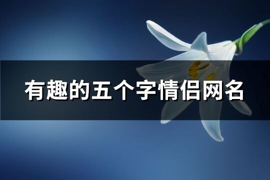 有趣的五个字情侣网名(精选576个)