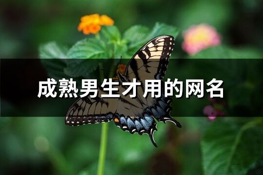 成熟男生才用的网名(417个)