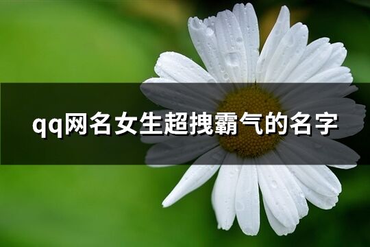 qq网名女生超拽霸气的名字(共256个)