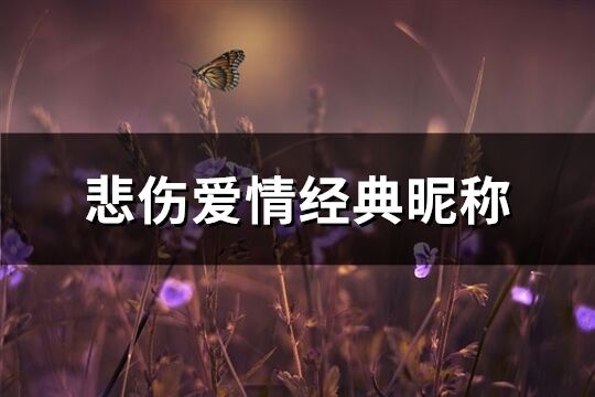 悲伤爱情经典昵称(优选162个)