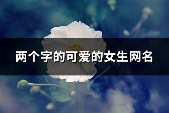 两个字的可爱的女生网名(共1049个)