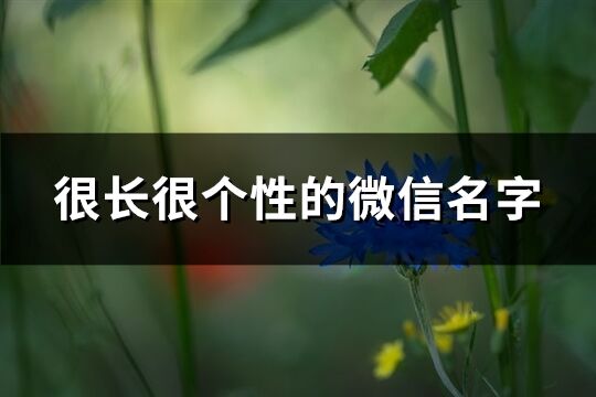 很长很个性的微信名字(447个)