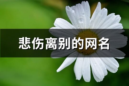 悲伤离别的网名(优选272个)