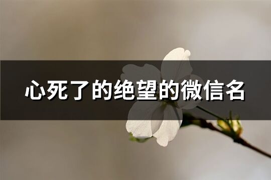 心死了的绝望的微信名(优选326个)