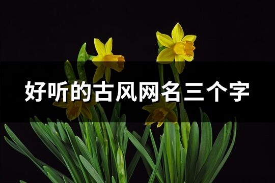 好听的古风网名三个字(优选735个)