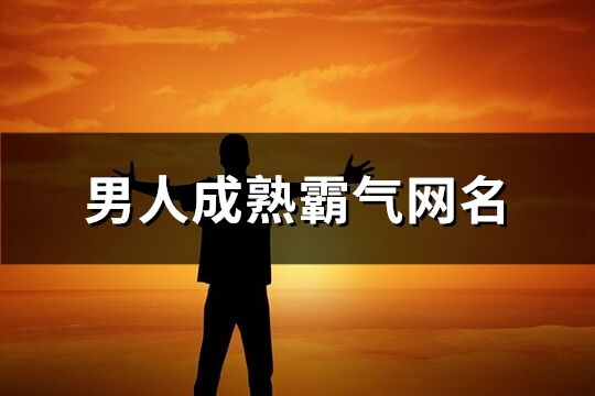 男人成熟霸气网名(精选232个)