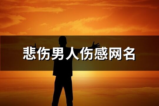 悲伤男人伤感网名(精选637个)