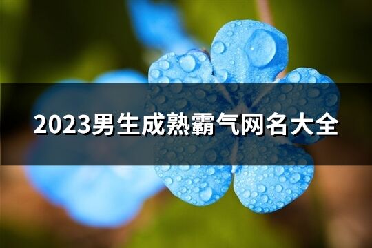 2023男生成熟霸气网名大全(优选1380个)