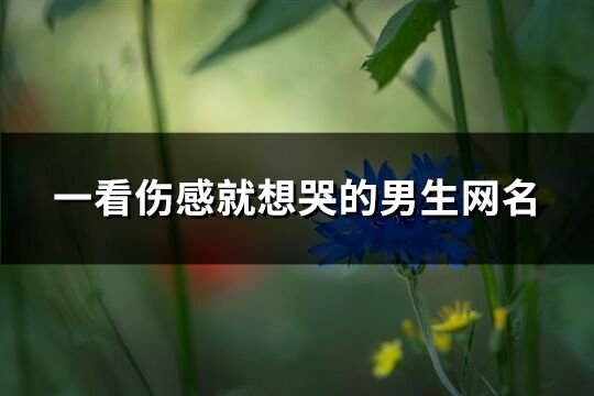 一看伤感就想哭的男生网名(230个)