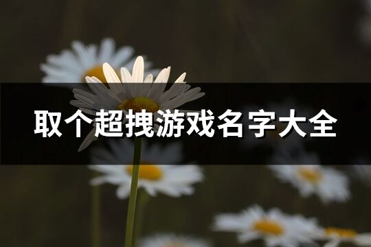 取个超拽游戏名字大全(共916个)