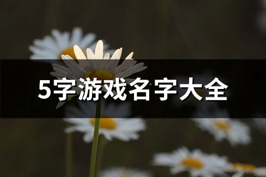 5字游戏名字大全(精选1607个)