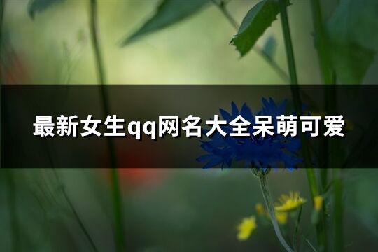 最新女生qq网名大全呆萌可爱(精选553个)