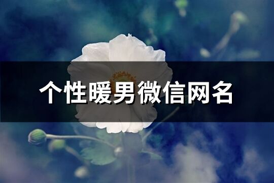 个性暖男微信网名(精选100个)