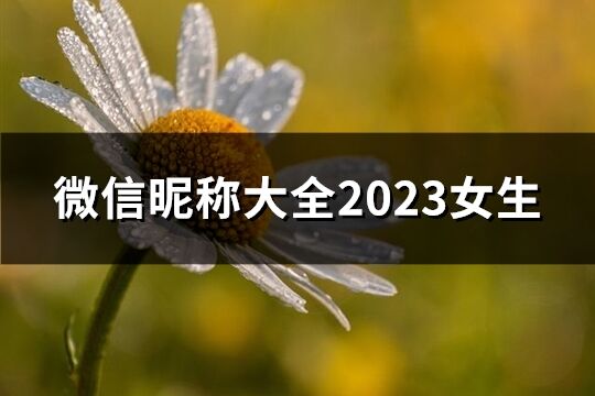 微信昵称大全2023女生(共1027个)