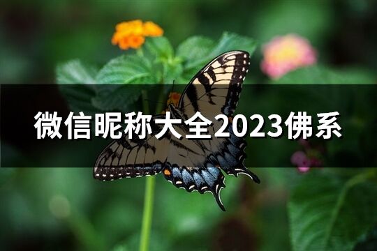 微信昵称大全2023佛系(共279个)