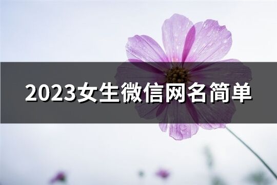 2023女生微信网名简单(优选706个)