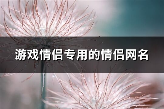 游戏情侣专用的情侣网名(精选585个)