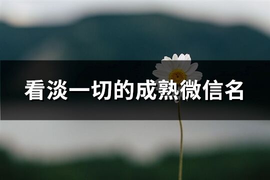 看淡一切的成熟微信名(优选452个)