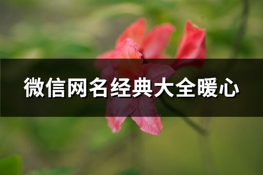 微信网名经典大全暖心(精选819个)