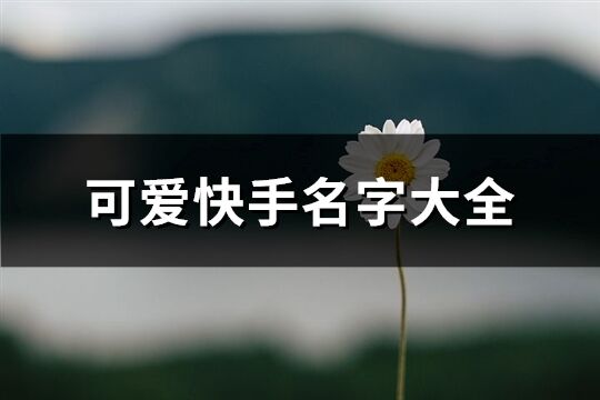 可爱快手名字大全(共353个)