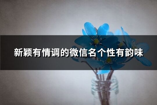 新颖有情调的微信名个性有韵味(优选186个)