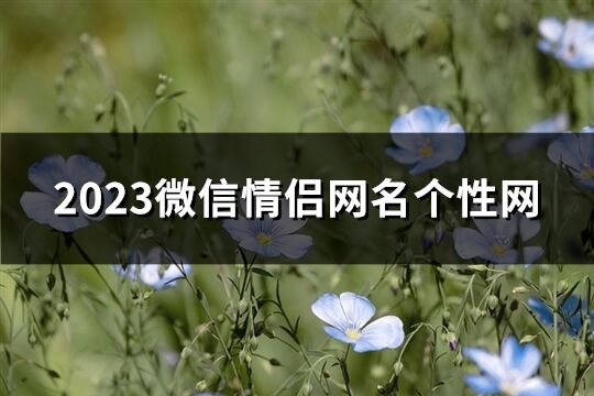 2023微信情侣网名个性网(优选93个)