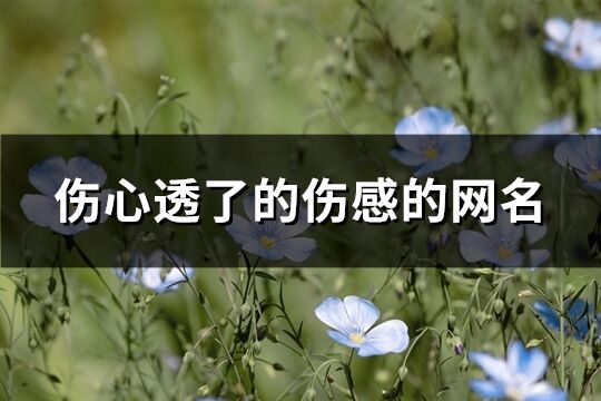 伤心透了的伤感的网名(优选938个)