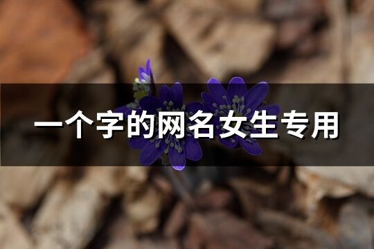 一个字的网名女生专用(精选104个)