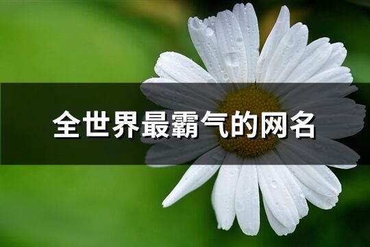 全世界最霸气的网名(精选220个)