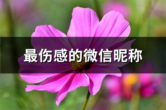 最伤感的微信昵称(共900个)