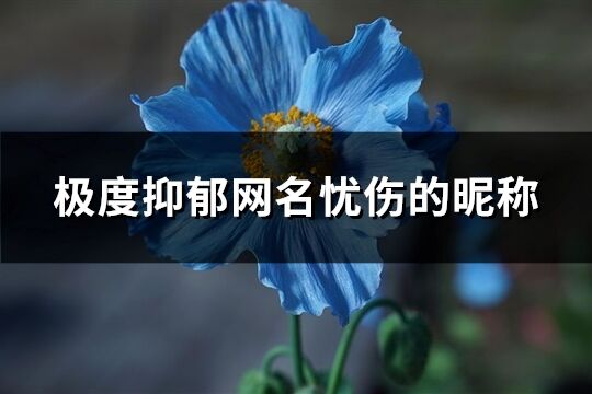 极度抑郁网名忧伤的昵称(优选229个)