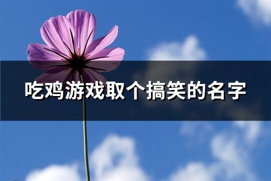 吃鸡游戏取个搞笑的名字(优选360个)