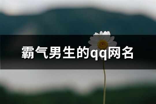 霸气男生的qq网名(优选366个)