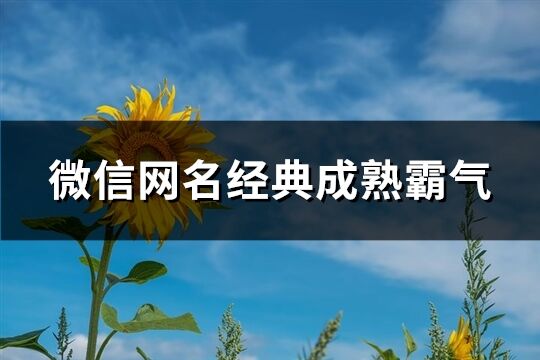 微信网名经典成熟霸气(优选90个)