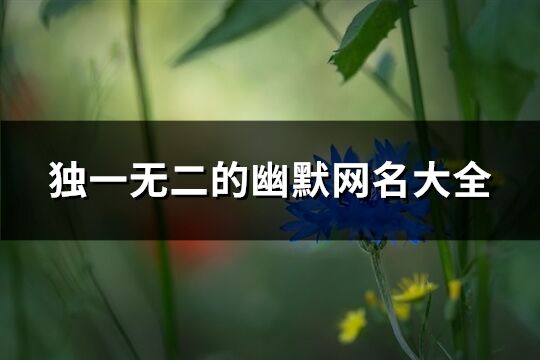 独一无二的幽默网名大全(精选229个)