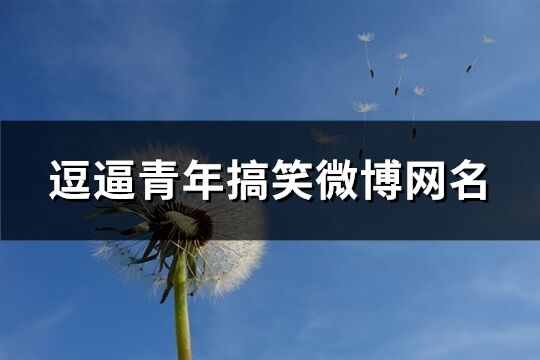 逗逼青年搞笑微博网名(优选225个)