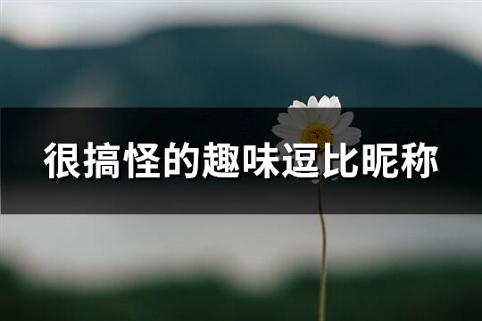 很搞怪的趣味逗比昵称(精选97个)